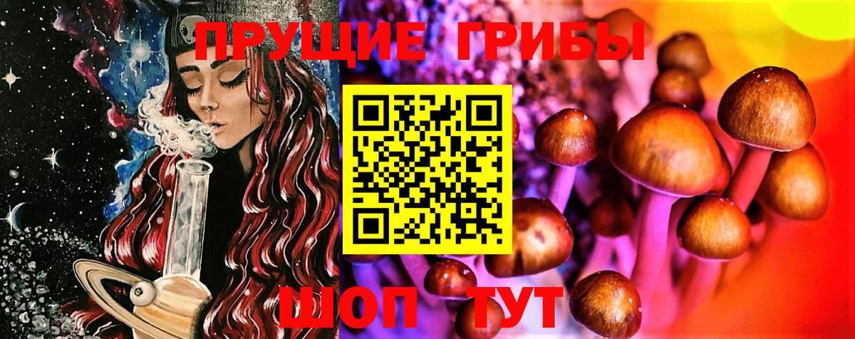 Всеволожск  Галлюциногенные грибы прущие грибы  сколько стоит  Вход с VPN 
