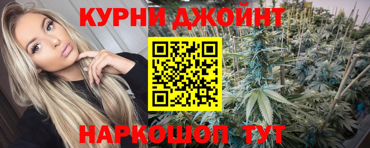Каннабис сатива  Бошки марихуана гибрид  Вход с VPN  Всеволожск  Бошки Шишки OG Kush 